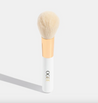 The Powder Brush