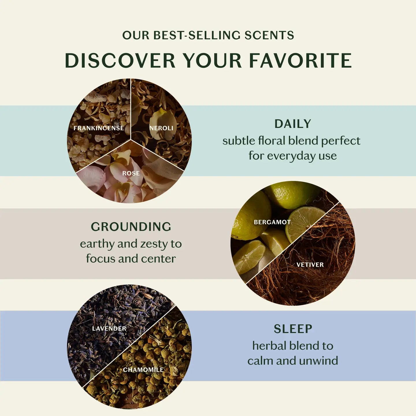 The Scent Discovery Set